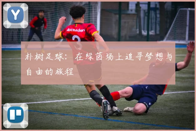 朴树足球：在绿茵场上追寻梦想与自由的旅程