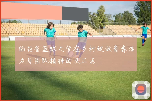 稻花香篮球之梦在乡村绽放青春活力与团队精神的交汇点