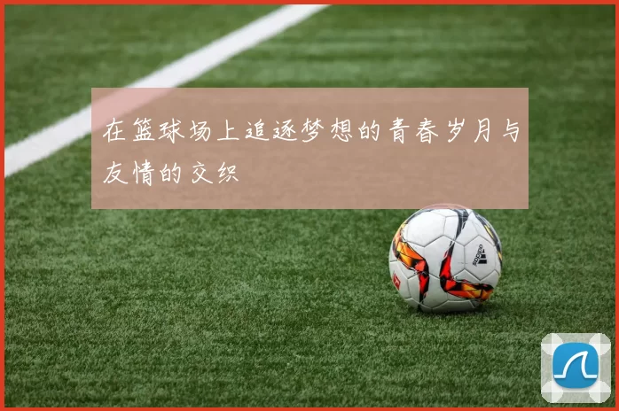 在篮球场上追逐梦想的青春岁月与友情的交织